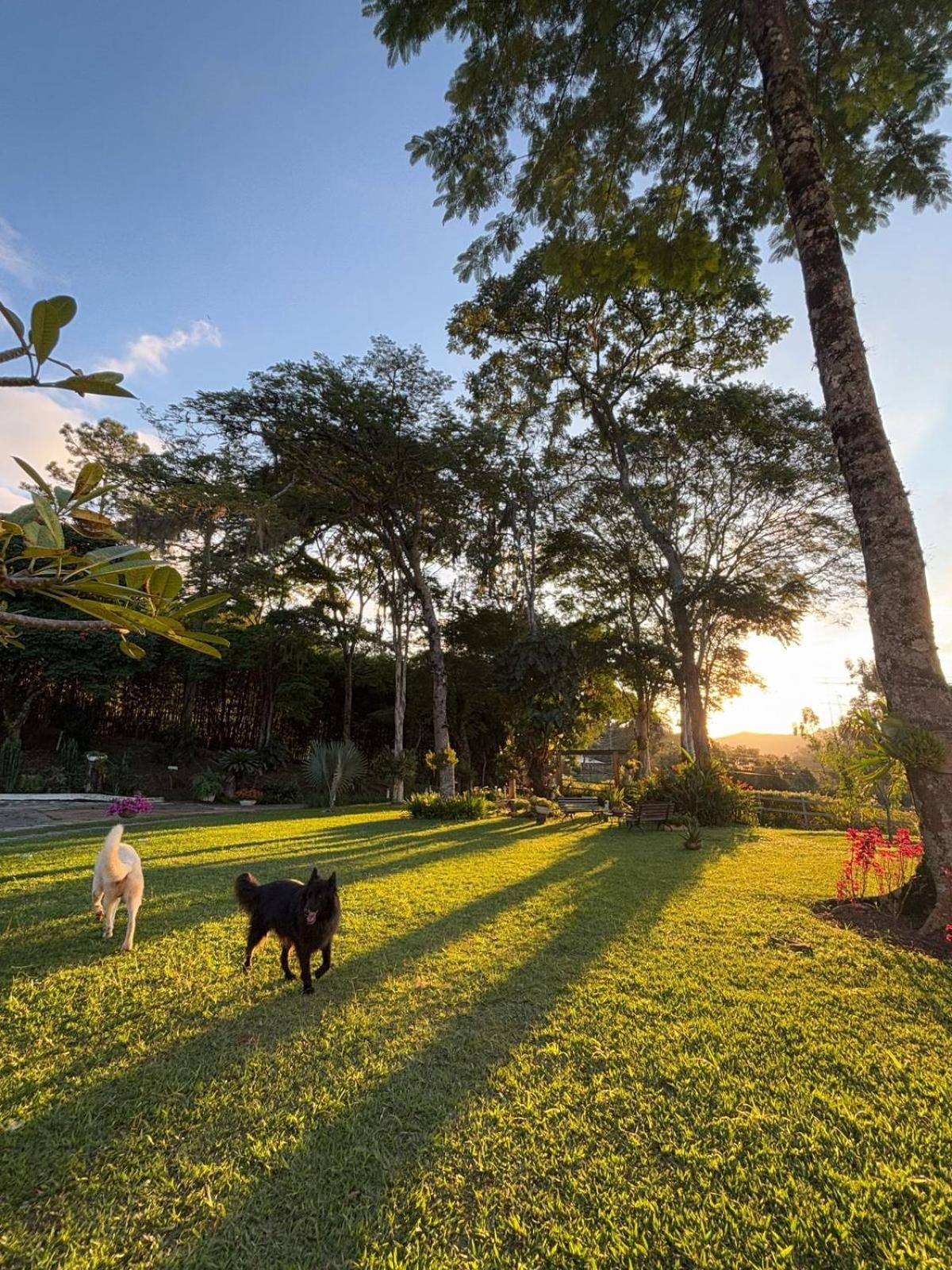 ホテル Casa Acucena No Sitio Gaia Magia Miguel Pereira Rj エクステリア 写真